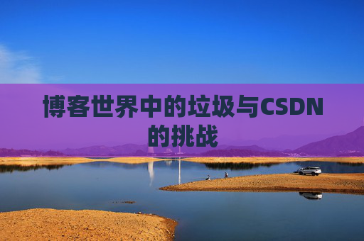 博客世界中的垃圾与CSDN的挑战